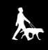 man walking dog-black and white